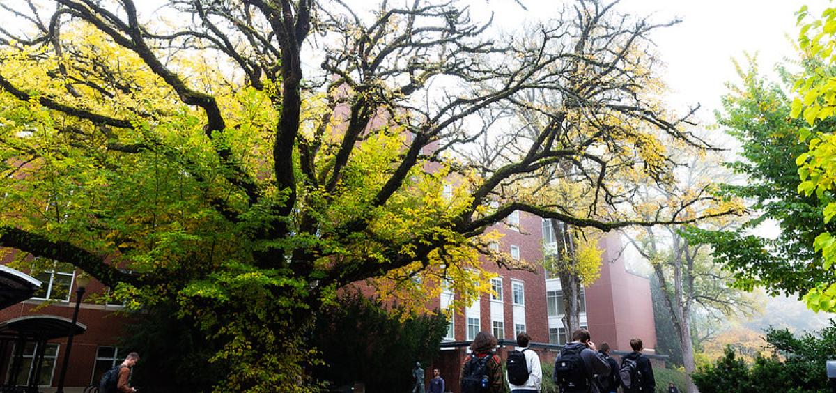Oregon State fall enrollment sets record, driven by inperson and