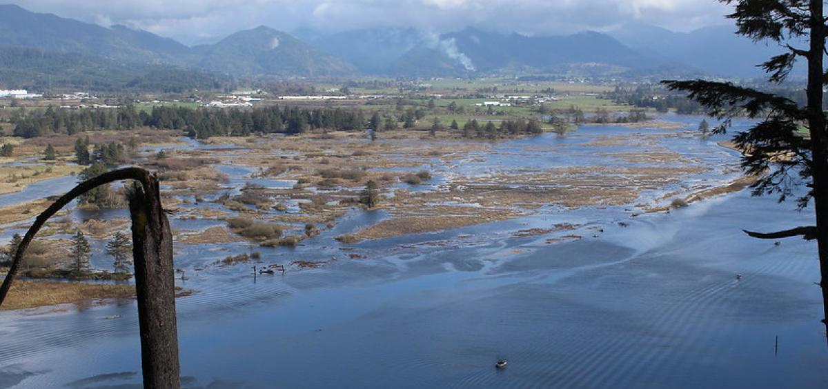 View of restored wetlands in the Tillamook Bay 