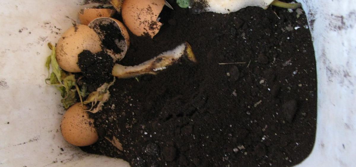 coffee grounds are mixed into a compost container with egg shells