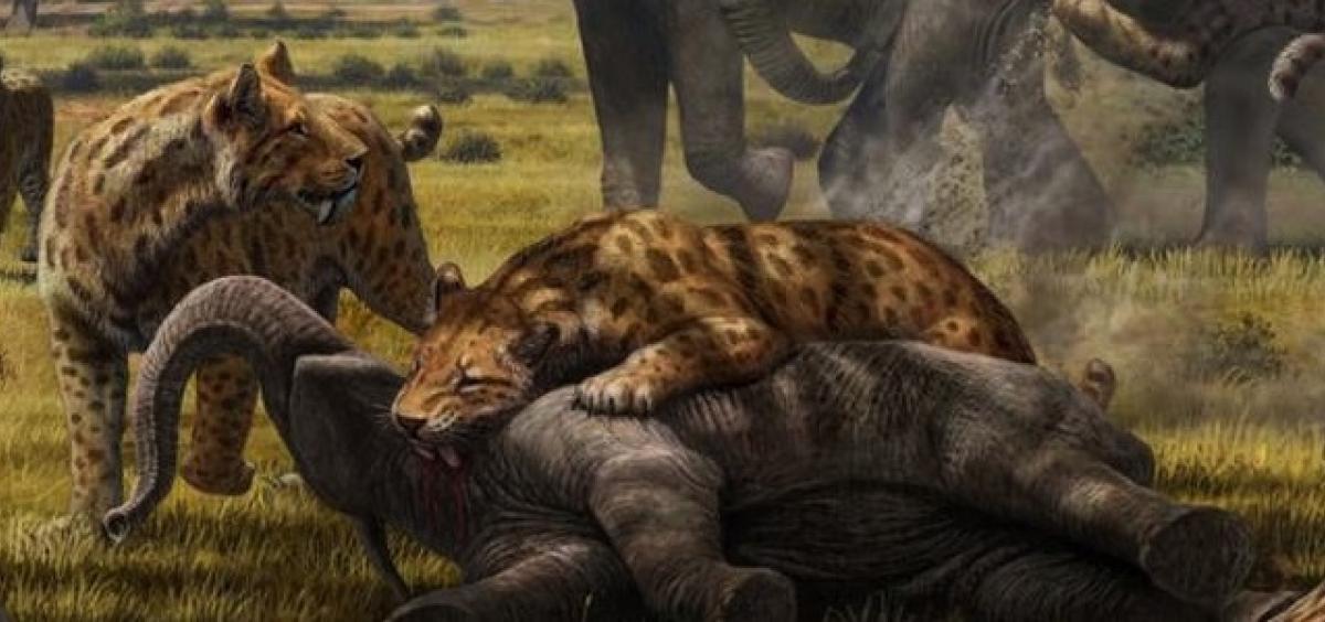Prehistoric predators kept large animals in check, shaped ecosystems |  Oregon State University