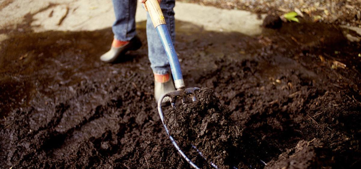 In no-till gardening, using a garden fork means less soil disturbance. Photo by Tom Gentle.