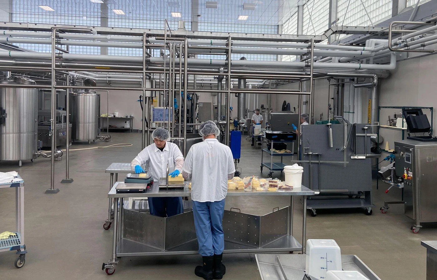 Workers in dairy