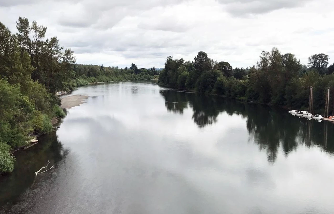 River with tree reflection
