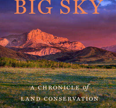 cover of big sky book