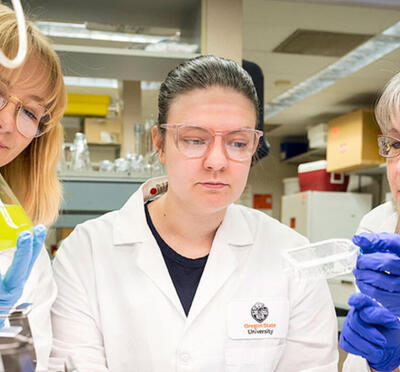 Researchers in the lab with beakers