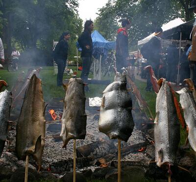 A row of salmon roasting on sticks in front of a low fire, with a line of people in the background.
