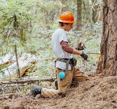 person in hard hat near large tree