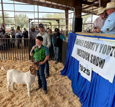 Young boy with goat at auction
