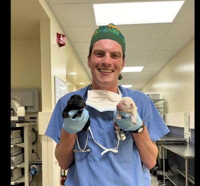 A veterinary medicine student wearing blue scrubs smiles as he holds up two tiny puppies.