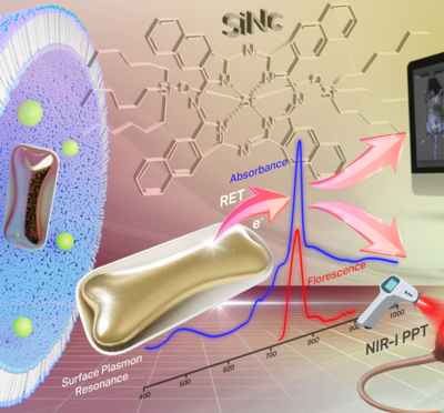 A graphic depicting a nanoparticle melanoma therapy.