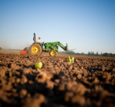 Tractor tilling field