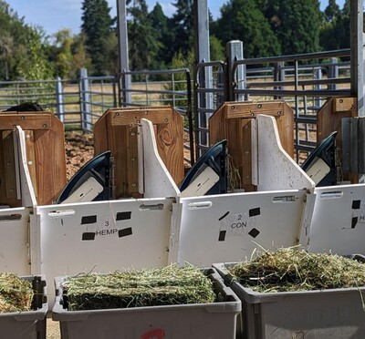 Cattle feeders