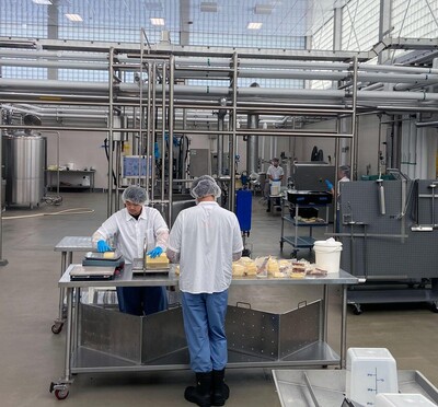 Workers in dairy