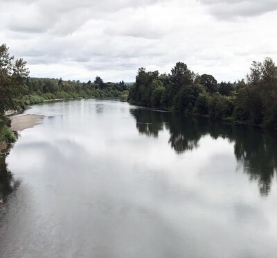 River with tree reflection
