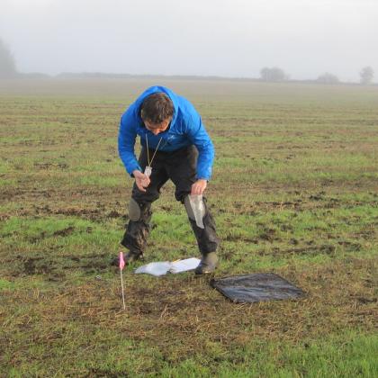 Rory Mc Donnell scouting for slugs infested by parasitic nematode.