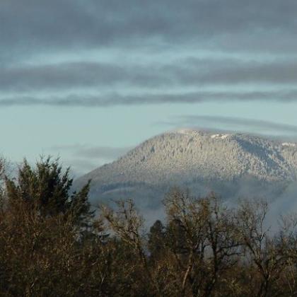 Marys Peak, highest point in the Oregon Coast Range. Photo by Steve Lundeberg, Oregon State University.
