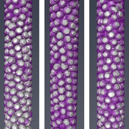 X-ray tomography-based 3D visualizations of microbial biofilm architecture and distribution in porous media columns. The experiments represent three different flow rates, varying three orders of magnitude (slowest on the left, fastest on the right). The g