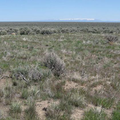Burned and unburned areas in the Hart Mountain National Antelope Refuge
