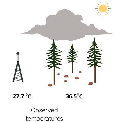 Smoke's cooling effect. Graphic provided by Amanda Brackett, OSU College of Forestry.