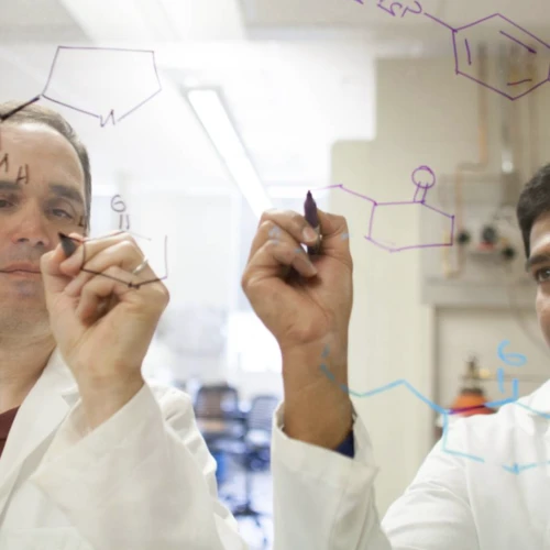 Researchers writing equations