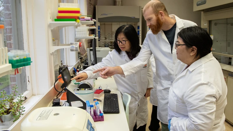Three people in white lab coats gesture to a screen in Hong Moulton's lab.