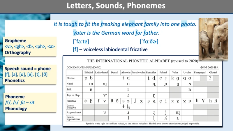 A slide from a linguistics course presentation, exploring the international phonetic alphabet.