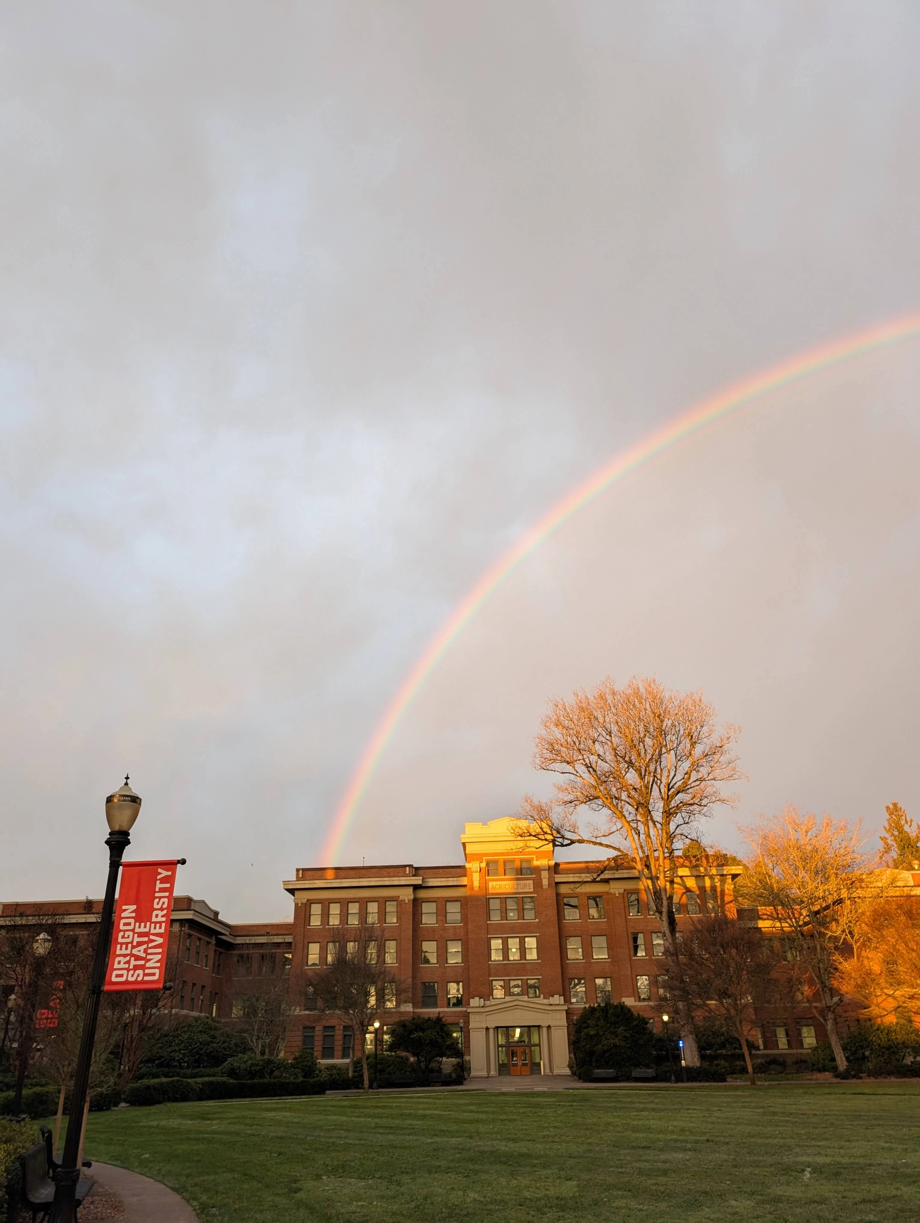 Rainbow touching down on building
