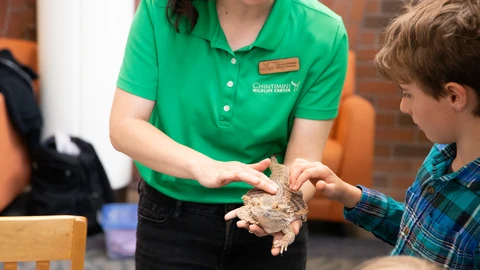 A woman in a bright green polo shirt holds out a horned lizard for a child to pet.