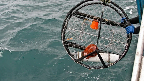 A crab pot about to be dropped into the ocean. 