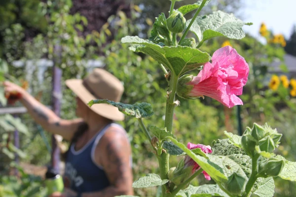Woman in straw hat tending garden
