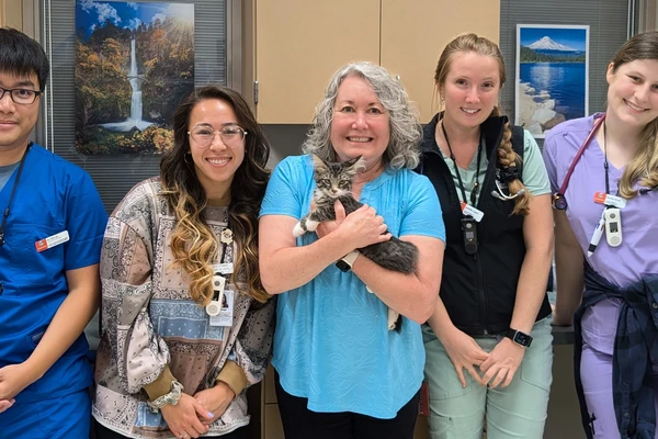 Vet med staff with kitten