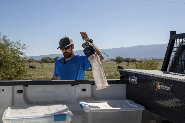 Baker County mosquito control manager grabs a mosquito trap from the back of a pickup. 