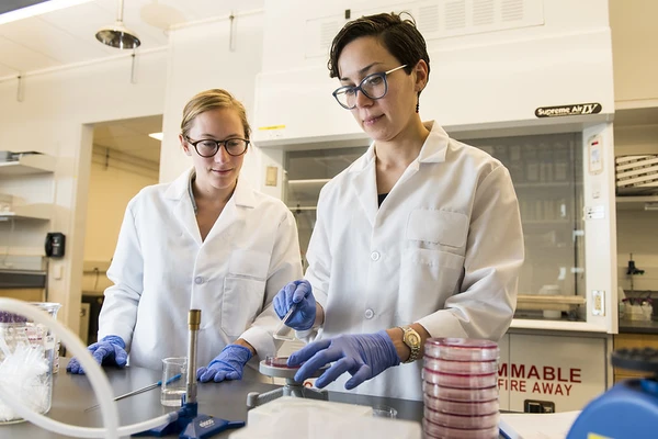 Two scientists in white lab coats and blue latex gloves.