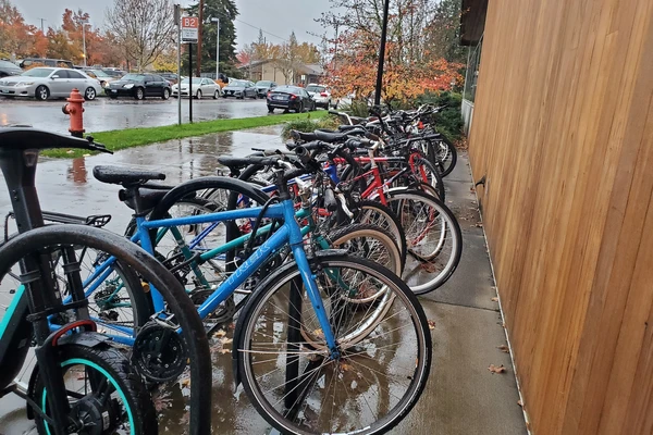 Row of bikes parked outside in the rain on campus