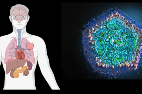 nanoparticles