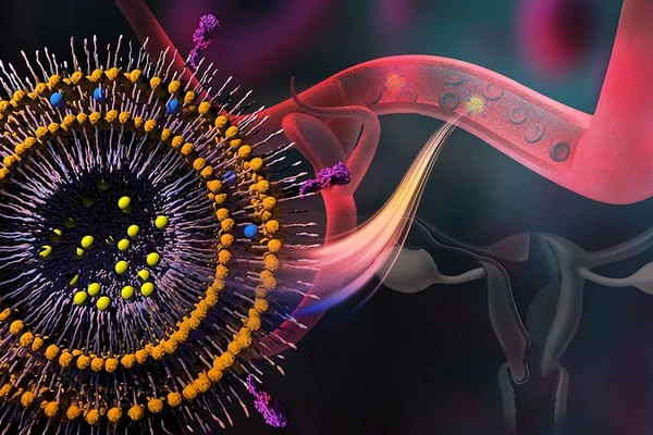 illustration of polymersome