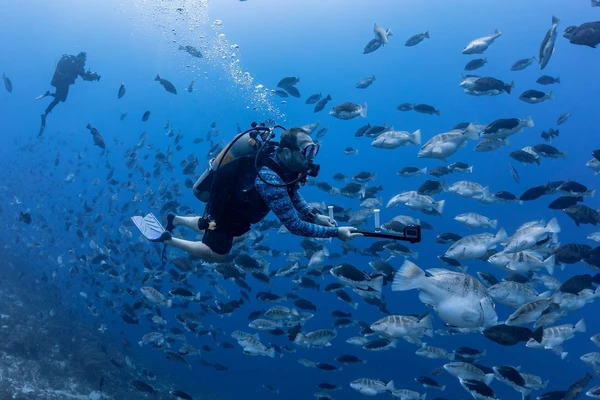 Against the deep blue of the Caribbean, a scuba diver holds an underwater camera while tons of fish swim around him.