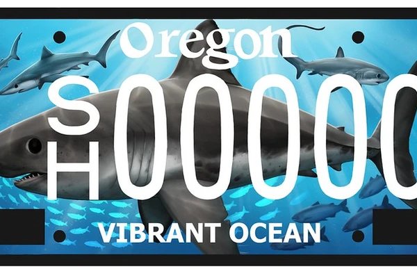 Shark license plate