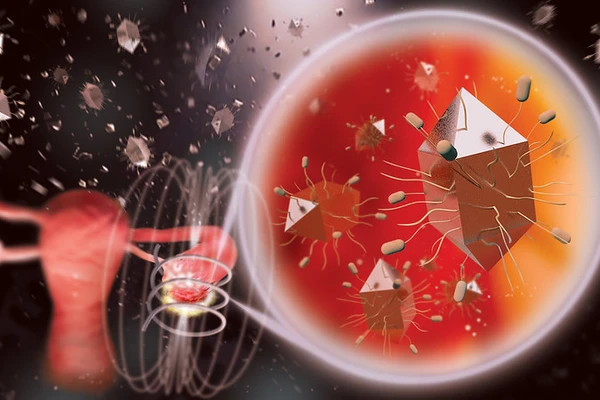 nanoparticles