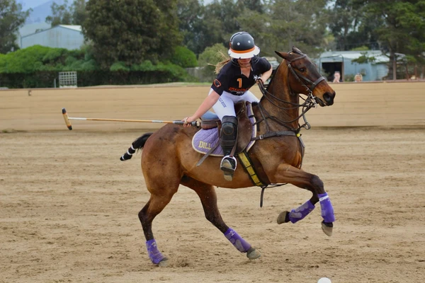 OSU polo player in action on horseback, swinging her mallet at the ball while leaning down over her horse's neck.