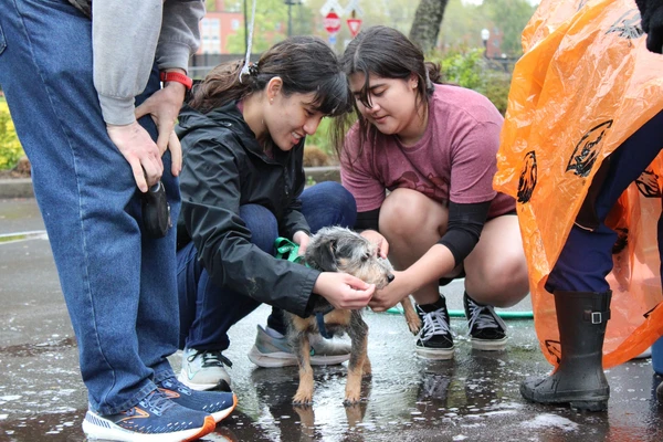 Two young people crouch down to pet a small dog in the rain at Pet Day 2024.