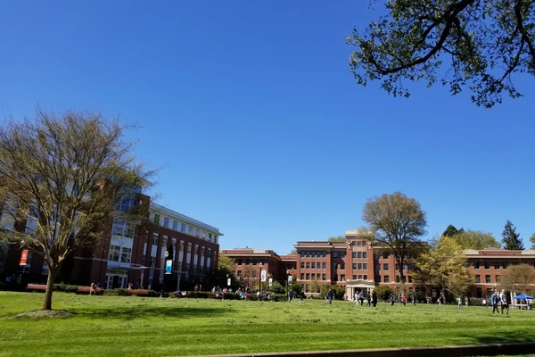 Wide view of the grassy library quad under a brilliant blue sky.