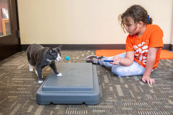 cat and child