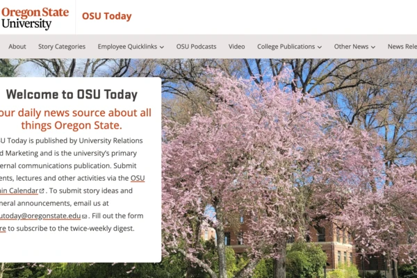 Screenshot of the OSU Today homepage, with a pink-blossomed cherry tree background photo.