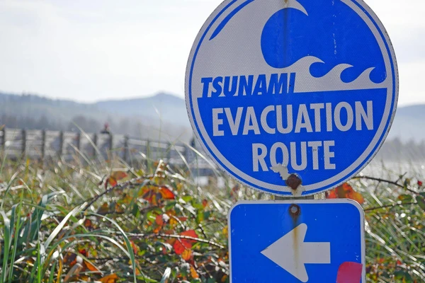 Blue tsunami evacuation route sign