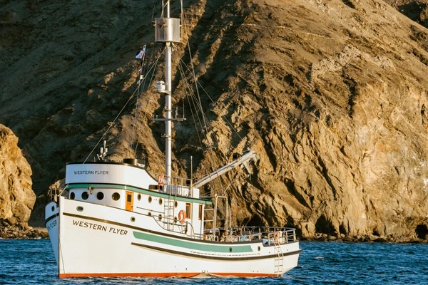 A white-and-green sardine fishing vessel sails in front of rocky cliffs.
