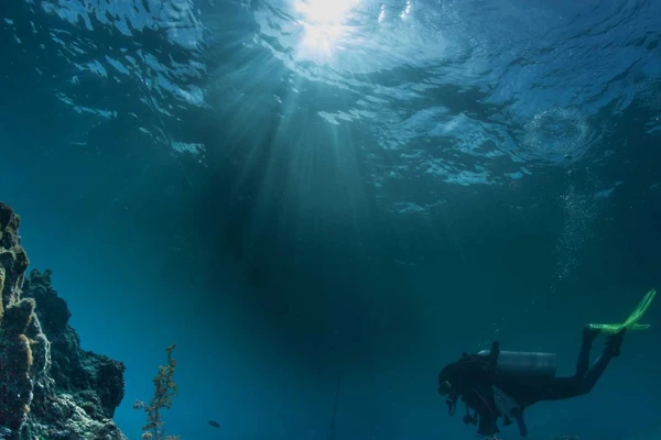 scuba diver under water