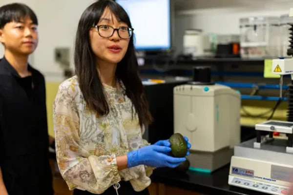 Researcher holding avocado