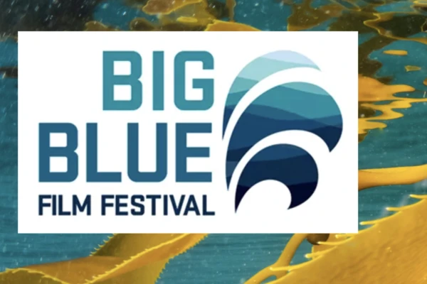 festival logo