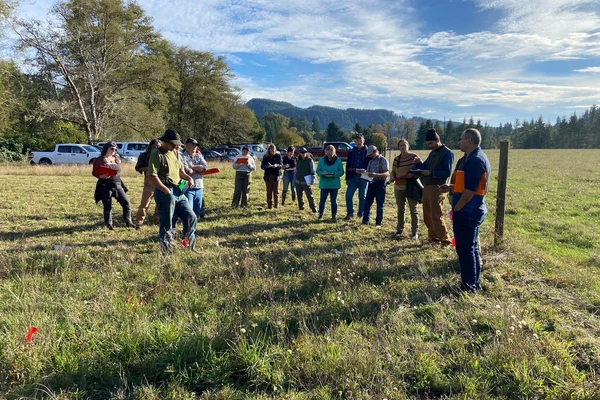 People standing in field